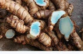 Image of Black Turmeric Seeds | 100 g