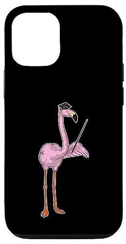 t~S 搶 w_ wZ X}zP[X iPhone 12/12 Pro p