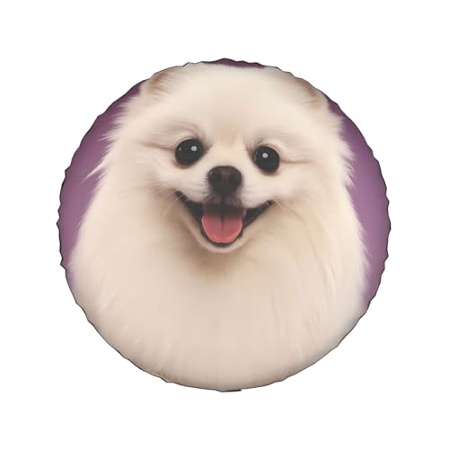 �|�����j�A�� ����1 �^�C���ۊǃJ�o�[�^�C���� 14-17 �C���`�ėp�h���J�o�[ 16 Inch