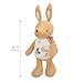 KALOO Peluche Conejo de Nacimiento con Sonido Papel susurrante en el Interior 28 cm Materiales reciclados Compañero mimoso y juguetón Desde K210006 Imagen de KALOO Peluche Conejo de Nacimiento con Sonido Papel susurrante en el Interior 28 cm Materiales reciclados Compañero mimoso y juguetón Desde K210006