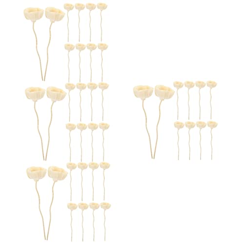 Garneck 40pcs Diffuser Sticks Refills for Home Fragrance for Spa and Relaxation Decorative Natural Flower Design