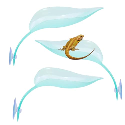 Delllala Crested Gecko Tank Accessories，Crested Gecko Hide，Frog Habitat Platform，Gecko Wall Climbing Toy &Reptile Branches（3PCS） (Light Blue)