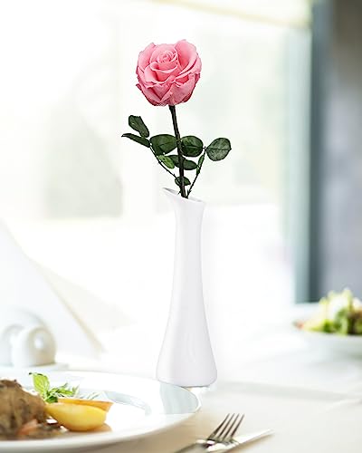 Image of Coral Pink Flowers for Delivery Prime, Preserved Pink Roses Flower Gifts for Women, Real Roses Single Rose Gifts for Her, Mom Birthday Gifts from Daughter, Valentines Flowers