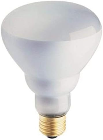 Philips Phillips Soft White 65-Watt BR30 Indoor Flood Light Bulb, (12 Pack) image 2