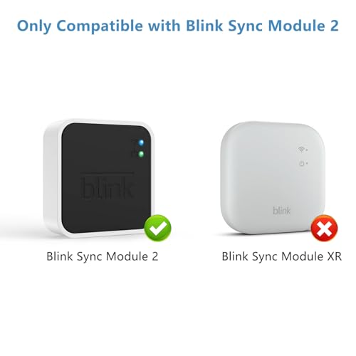 Image of 256GB Blink USB Flash Drive, with Outlet Mount Compatible with Blink Sync Module 2, Space-Saving Mount Bracket Holder for Blink Outdoor /Indoor Security System (Sync Module 2 is NOT Included),2Pack