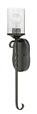 Hinkley Casa 4300OL-CL One Light Large Wall Sconce - Rustic Style, Clear Seedy Glass Cylindrical Shade - Olde Black