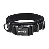 Peak by Ray Allen Palmer Dog Collar (Black, Large)