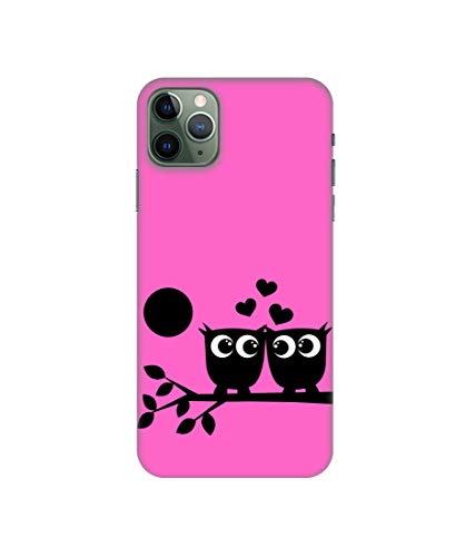 Image of Amazon Brand - Solimo Designer Love Birds Vector 3D Printed Hard Back Case Mobile Cover for Apple iPhone 11 Pro Max