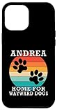 Photo Gallery andrea home for wayward dogs cognome custodia per iphone 12 pro max Photo Gallery andrea home for wayward dogs cognome custodia per iphone 12 pro max