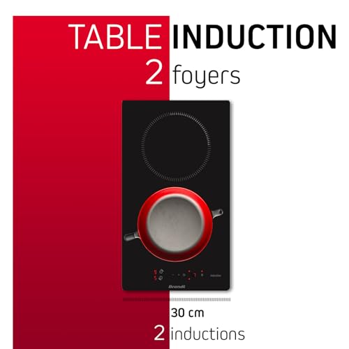 BRANDT domino induction 2 foyers BPI6210B - vue 8