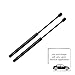 2 Pcs Car Rear Tailgate Boot Struts Gas Springs Dampers for Mazda 3 Hatchback 5-Door