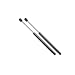 6404 Cadillac CTS, Trunk 2nd design Lift Support Strut, Set of 2