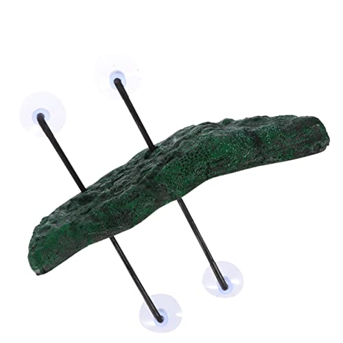 Toddmomy 1Zbg  p  p^[gNfR[V ubNO[