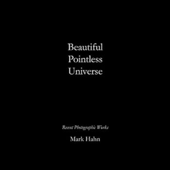 Paperback Beautiful Pointless Universe Book