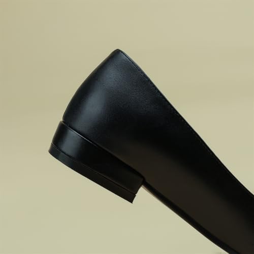 Women's Retro Cap Pointed Closed Toe Pump Slip-On Chunky Low Two Toned Block Heel Metallic Classic Work Office Church Casual Comfort Dress Shoes Business Party Daily Wear Flats4