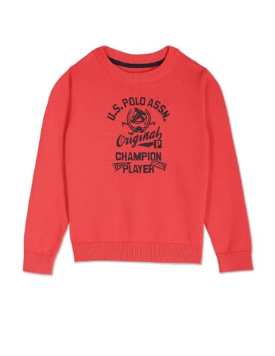 Image of U.S. POLO ASSN. Boys Cotton Turtle Neck Sweater