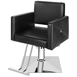 Artist hand Barber Chairs, All Purp...