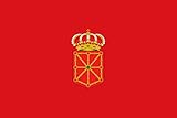 para fines representativos magFlags Bandera XL Navarre  Bandera Paisaje  2.16m²  120x180cm