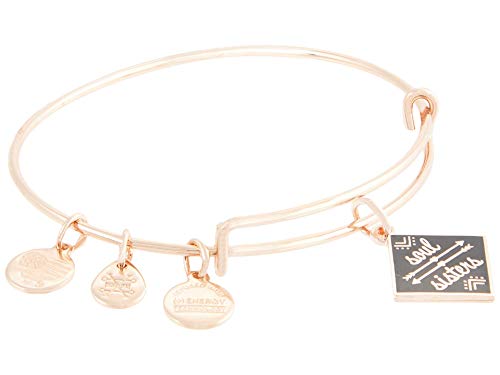 Alex and Ani Color Infusion Soul Sisters Bangle Bracelet