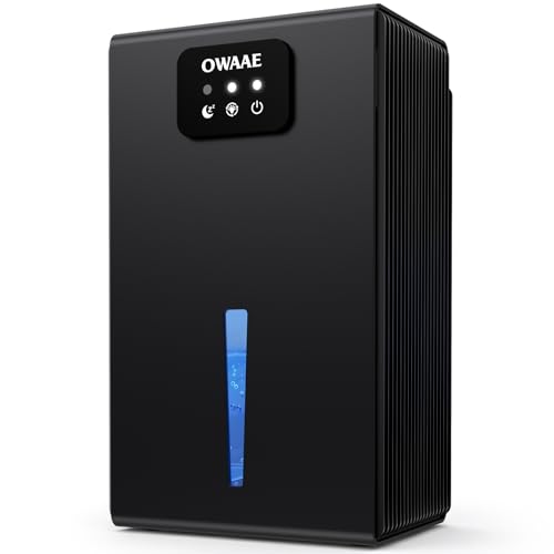 Dehumidifier for Home Bedroom Basement Bathroom, Obsidian