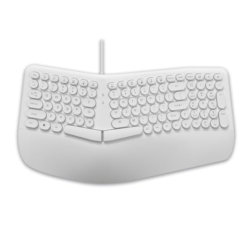 Image of ANT Master 70 Wired USB Keyboard, Full-Size 101-Key Computer Keyboard with FN + 12 Multimedia Shortcut Keys, Smooth Rubber Dome Keys, Anti-Splash Design, 5 Million Keystrokes, Windows & Linux - White