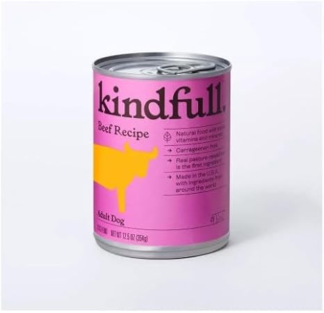 Kindful Beef Recipe Wet Dog Food - 12.5oz