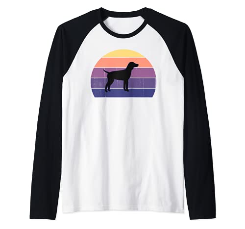 Cool Retro Sunset German Pointers - Great Dog Owner / Lover Raglan Baseball Tee, Black