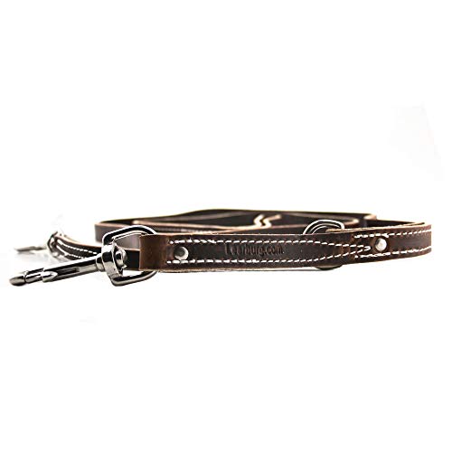 Leerburg Puppy/Small Dog Amish Leather Prong Collar Leash - Brown - 6 ft x 1/2 in - w/ Stainless Steel Hardware