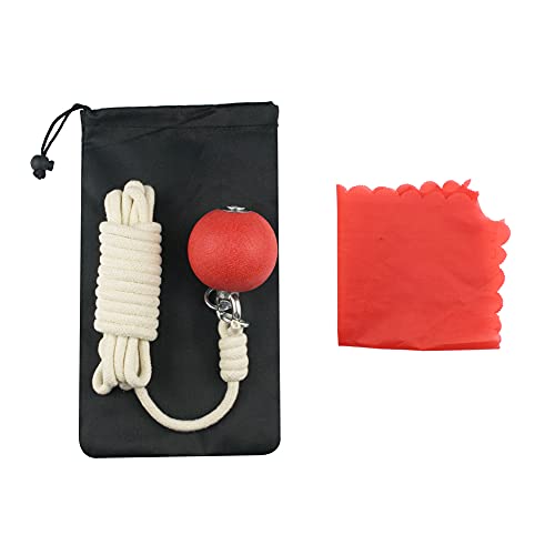 PHYSKOW Rubber Meteor Hammer for Beginners Exercise Ball Chinese Kungfu Traditional Martial Arts Soft Equipment (Rubber Meteor Hammer)