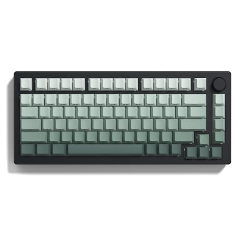 Image of dagaladoo Shine Through keycaps Set,Double Shot PBT keycaps Gradient | Side Print keyboard keycaps,OEM Profile custom Key caps for Mechanical Keyboards 60% 65% 75% 100% TKL Layout,Seaweed Green