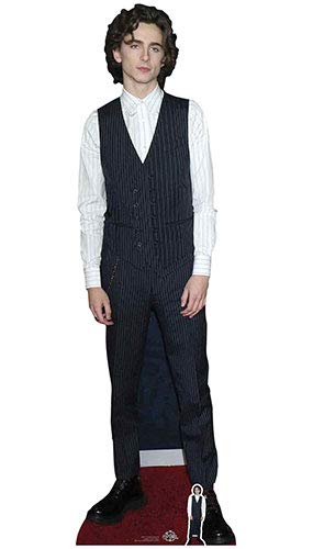 Star Cutouts Ltd Star CS817 Timothee Chalamet Cardboard Cutout Perfect for Fans Height 179cm Width 53cm, Multicolour