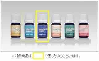 エッセンシャルオイルセット sk2-9719_001.jpg