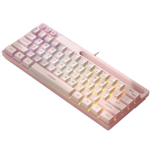 Clavier de jeu rose-RVB pour ordinateur portable et aménagement de bureau moderne