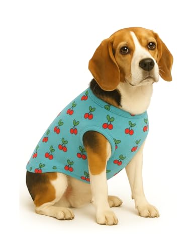 Image of The Pets Company Dog Winter Coat Jacket, Clothes, Windproof, Light Weight, Washable, Ultra Warm Thick Fleece Lined Dog Vest for Cold Weather Protection, (Sky Blue Cherry, Medium - 20 Inch)