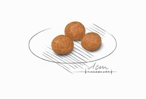 X-Small Adult | Trockenfutter für sehr kleine Erwachsene Hunde | 2 x 500 g – Ansicht 4