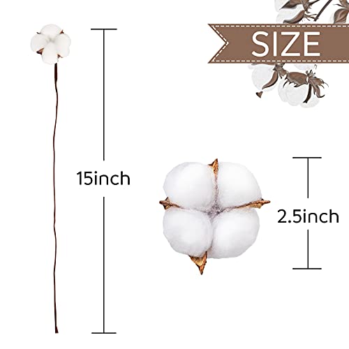 Domestar Cotton Stems, Natural Dried Cotton 30Pcs Cotton Sprigs Cotton Blooms Floral Stems For Vase Fillers #TOP1