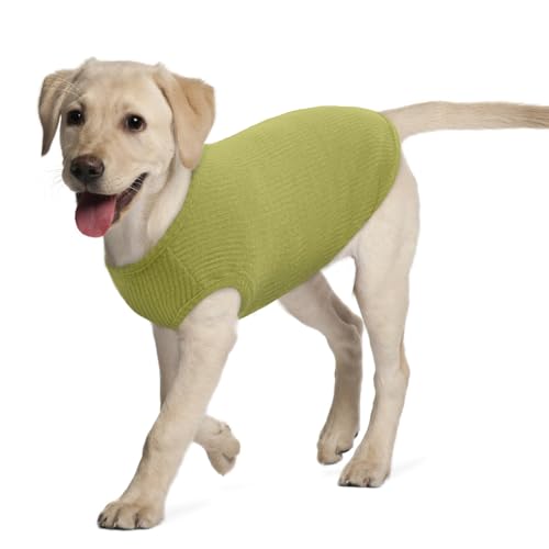 Hundeshirt für Mittelgroße Hunde | Sommer Hund T-Shirt Atmungsaktiv & Leicht | Weich & Bequem, Rundhals Design | Hunde Bekleidung | Schlanke Labrador Retriever, Golden Retriever (Chartreste XXL)