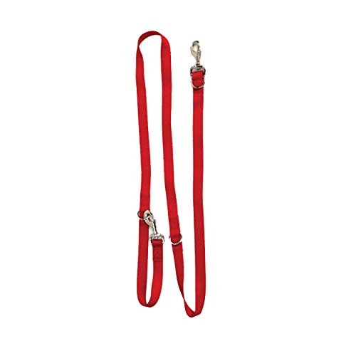 Blue-9 Multi-Function Hands Free Dog Leash, Double Attachment 6 Foot Adjustable Lead for Obedience, Running, and Agility Training, Made in The USA, Red, Medium/Large