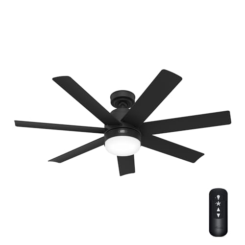 Hunter Brazos Outdoor with LED Light 52 inch Matte Black - Matte Black