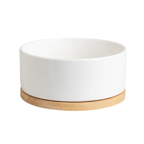 Liemuao Beheizter Katzennapf, 350 ml/600ml Haustier-Wassernapf-Heizung, beheizter Keramik-Wassernapf,USB-Lade-Wasserspender für Katzen, Hunde im Freien und drinnen (Weiß, 350ML)