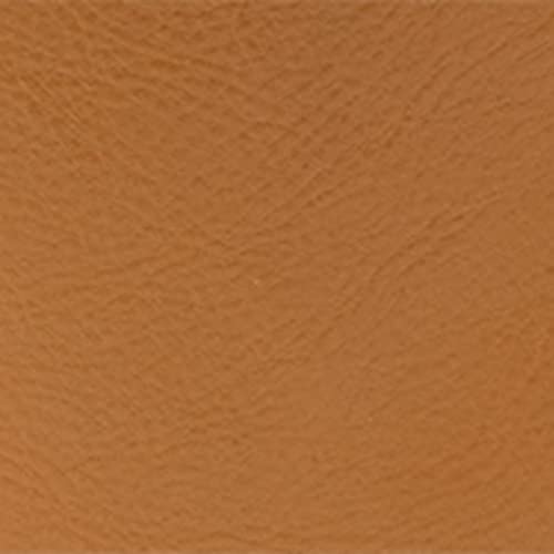 Fossil Parker Convertible Leather Backpack in Camel #TOP25
