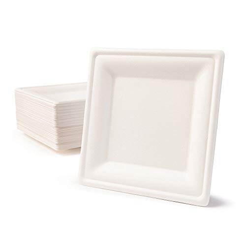 AukCherie Assiette Jetable Noel Assiettes 8 inch Assiettes Jetables Anniversaire Assiettes en Carton Disposable Plates 50 Pcs Assiettes Papier pour Anniversaire, Fête, Mariage (8" Carré)
