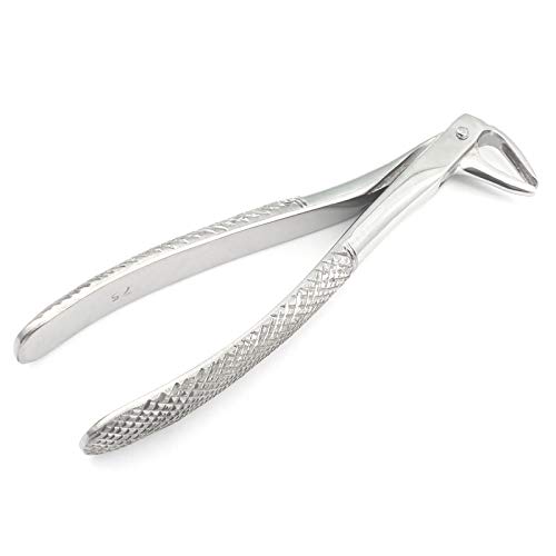 Best Adding And Subtracting Sig Figs For Dummies 2024 Where to Buy