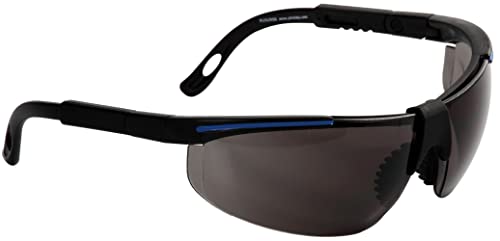 Eagle Runner - Gafas de protección laboral con lentes intercambiables de policarbonato oscuro