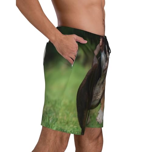 Men's Beach Shorts Animal Bulldog Dog Mens Swim Trunks Board Shorts with Pockets Swimwear Bathing Suits3
