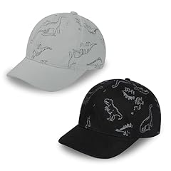 Gray Dino&black Dino