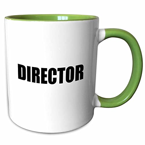 3dRose Director - film industry job pride - black and white text - proud of your movie profession or hobby 11oz Two-Tone Green Mug