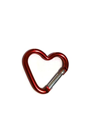 DarrellsWorld Red Heart Shaped Carabiner with Snap Clip Hook Keychain 1 5/8 x 1 3/4 x 1/8