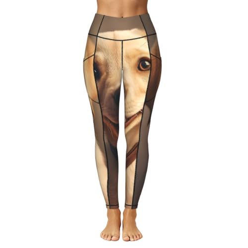 Leggings de labrador elásticos que no se bajan durante el ejercicio 2