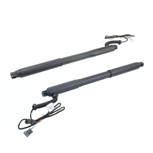 Support hayon électrique premium pour BMW X5 E70LCI | Fiabilité et finitions robustes 51247332696